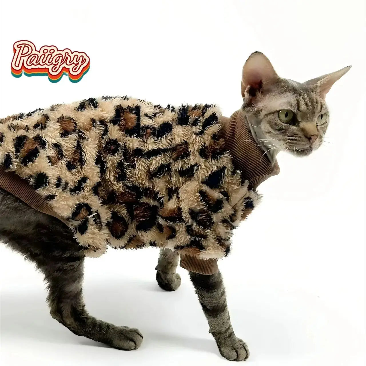 Leopard Print Thermal Suit for Sphynx Cats