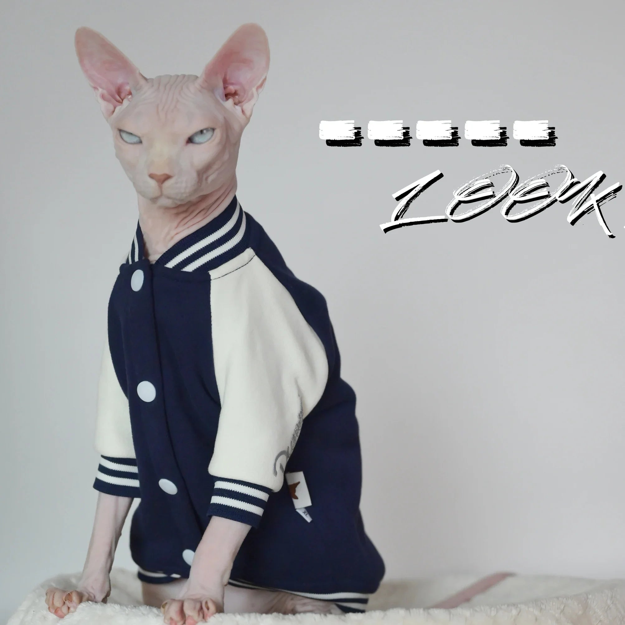 Thermal Baseball Jacket for Sphynx Cats