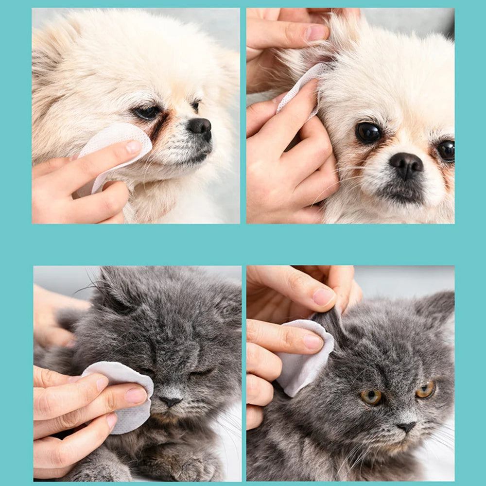 Sphynx Cat Ear Cleaning Wipes – Calming Grooming Pads