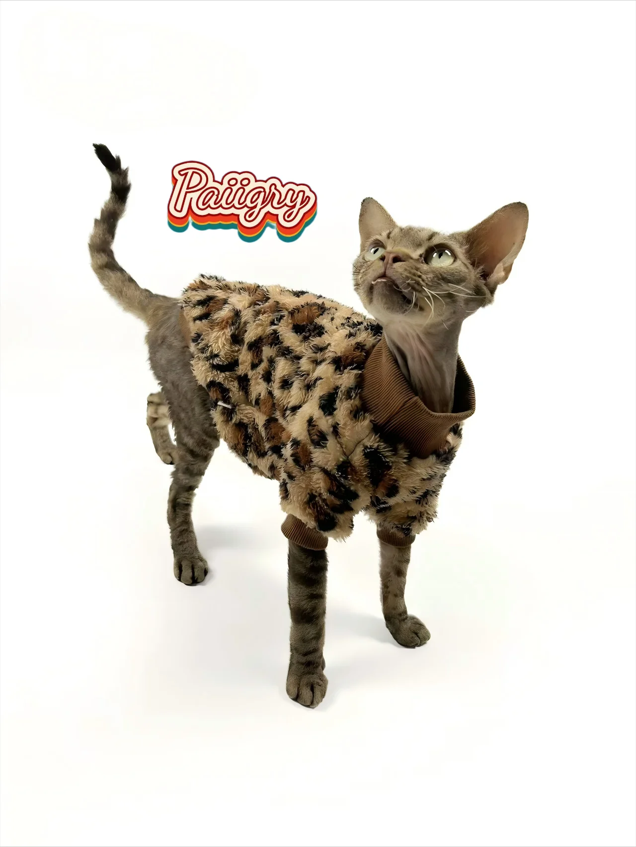 Leopard Print Thermal Suit for Sphynx Cats