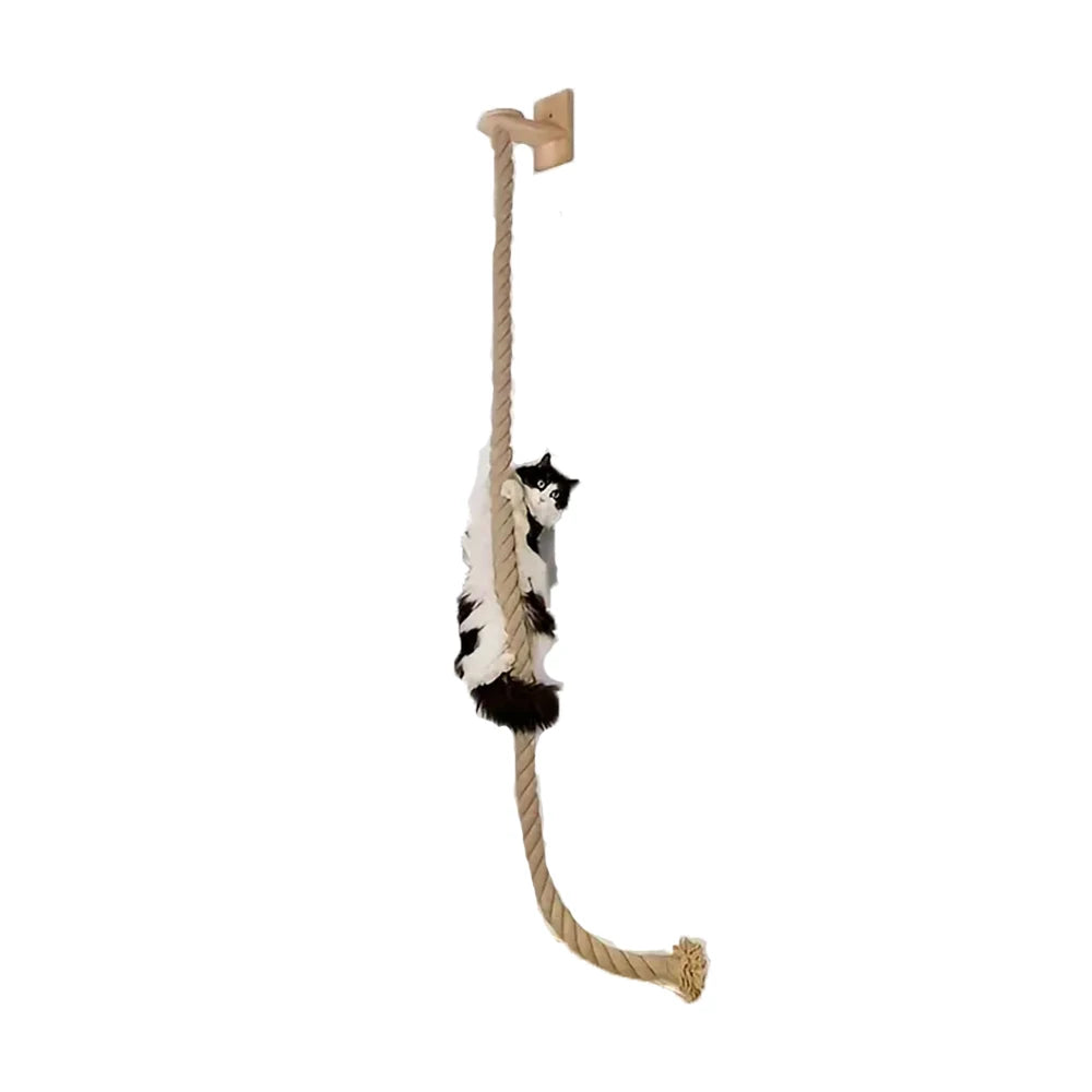 Sphynx Wall Climbing System – Modular Pieces (Sold Individually)
