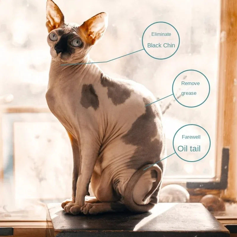 Waterless Cleansing Foam for Sphynx Cats – Oil Control