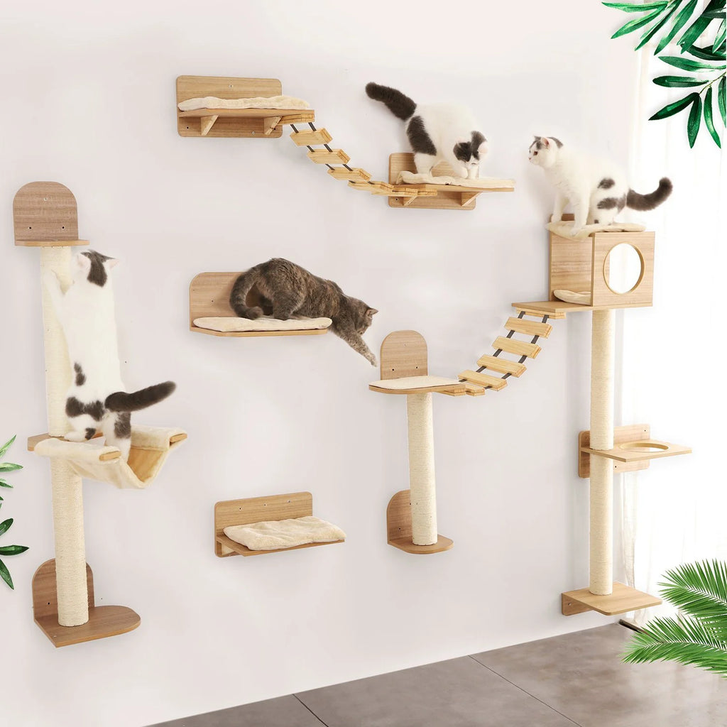 Sphynx Wall Climbing System – Modular Pieces (Sold Individually)