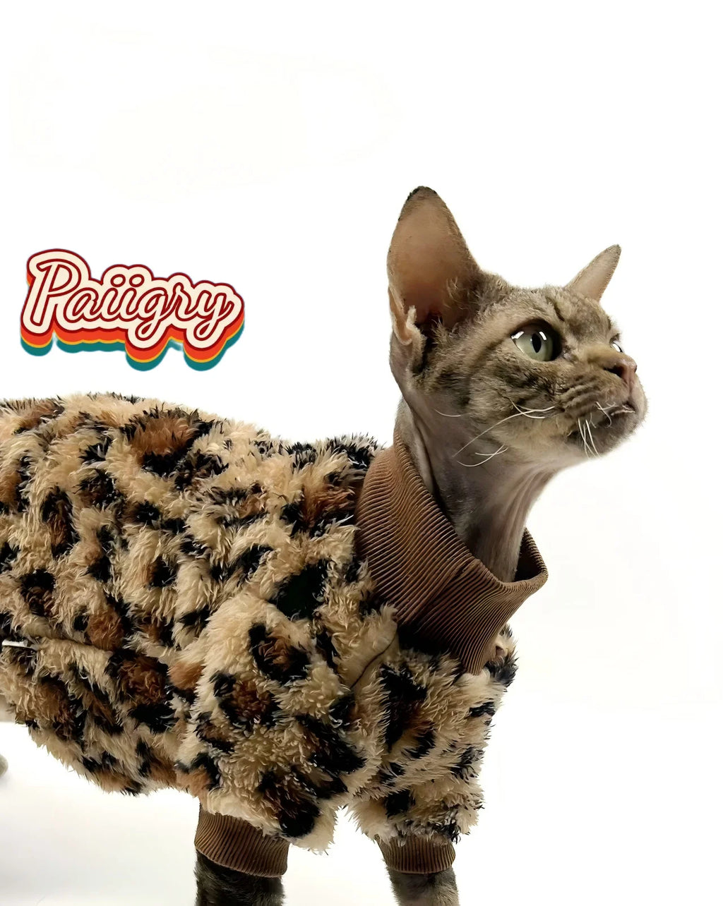 Leopard Print Thermal Suit for Sphynx Cats