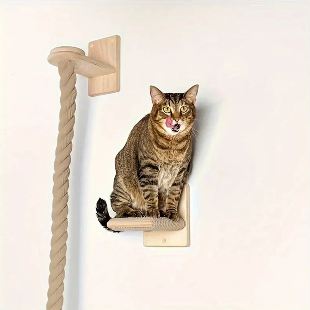 Sphynx Wall Climbing System – Modular Pieces (Sold Individually)