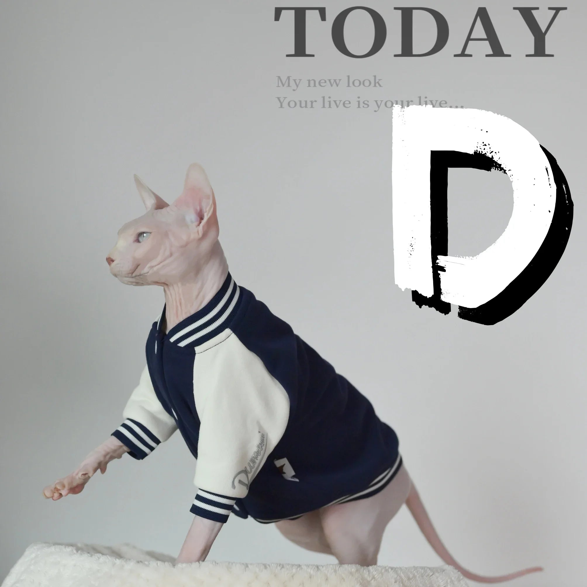 Thermal Baseball Jacket for Sphynx Cats